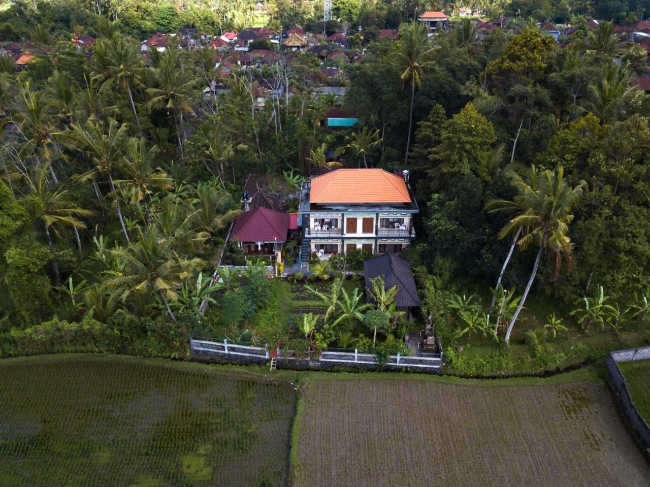 Demank Hidden Guesthouse Ubud  Exterior photo